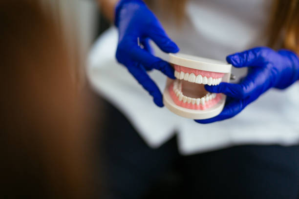 Best Dental Exams and Cleanings  in Versailles, OH